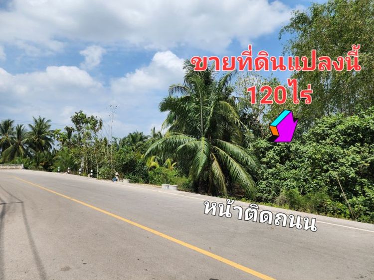 ใช่ ขายที่ดินแปลงใหญ่ในสุราษฎร์ธานี รูปที่ 2