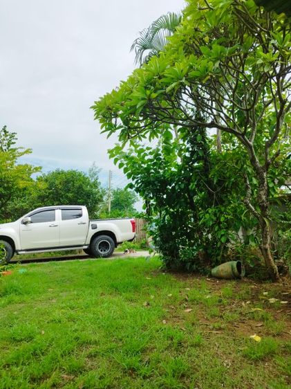 Isuzu D-MAX 2012 2.5 Hi-Lander Z Pickup ดีเซล เกียร์ธรรมดา ขาว รูปที่ 4