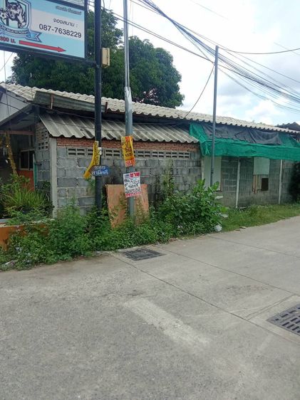 ขายที่ดิน 50 ตร.ว. คลองหนึ่ง คลองหลวง ปทุมธานี รูปที่ 4