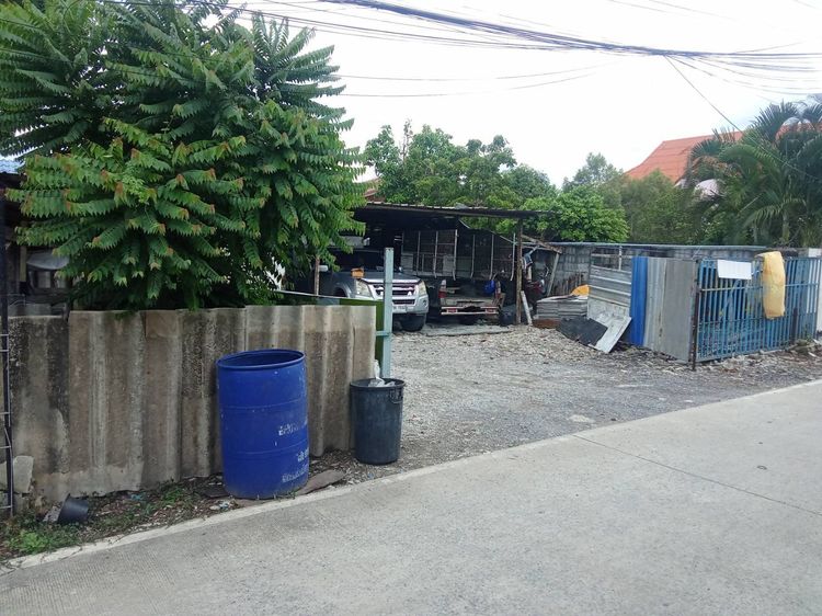 ขายที่ดิน 50 ตร.ว. คลองหนึ่ง คลองหลวง ปทุมธานี รูปที่ 3