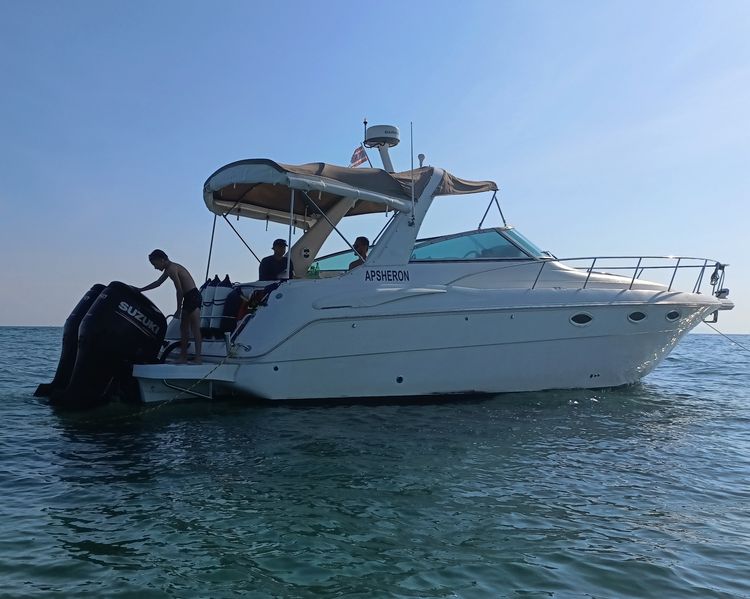 MONTEREY 322 CRUISER