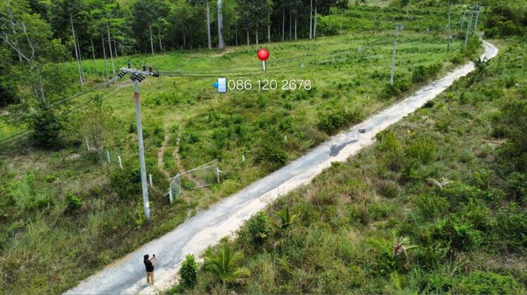 ใช่ ขายที่ดินในเกาะสมุยโซนลิปะน้อย รูปที่ 4