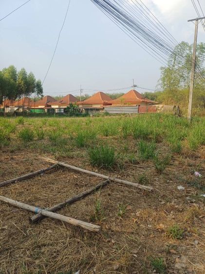 ใช่ ขายที่ดินถมแล้ว ปลวกแดง รูปที่ 4