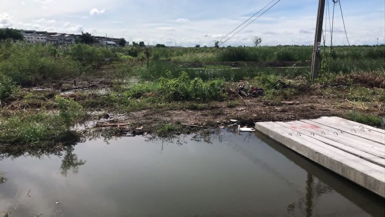 ขาย ที่ดิน 215 ไร่ติดถนน บางบ่อ-คลองด่าน  สมุทรปราการ รูปที่ 2