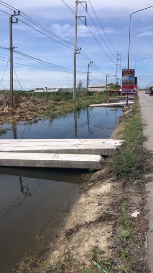 ขาย ที่ดิน 215 ไร่ติดถนน บางบ่อ-คลองด่าน  สมุทรปราการ รูปที่ 4
