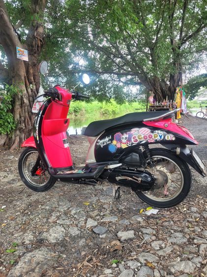 Honda scoopy i เครื่องดี เอกสารครบ