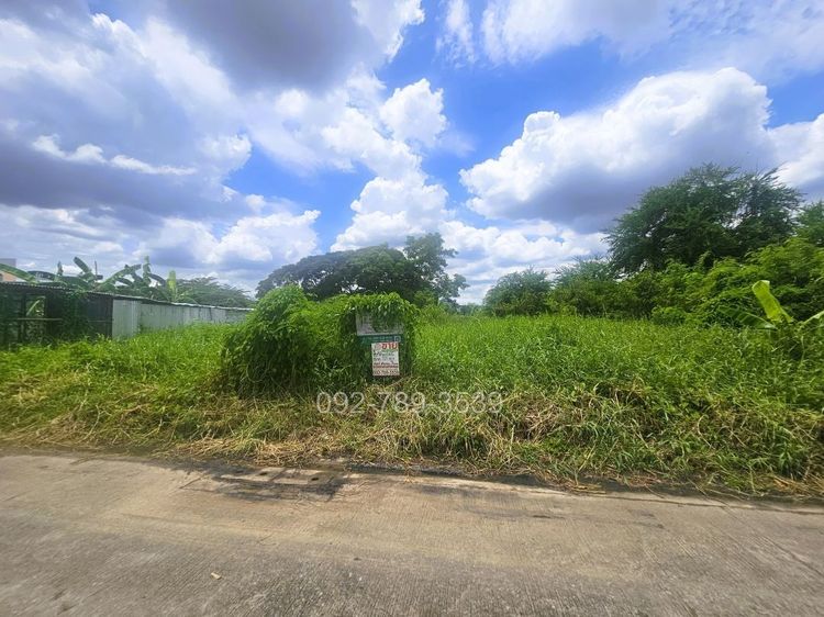 ขายที่ดิน รามอินทรา ซอย5 แยก13 ขนาด 201 ตร.วา รูปที่ 2