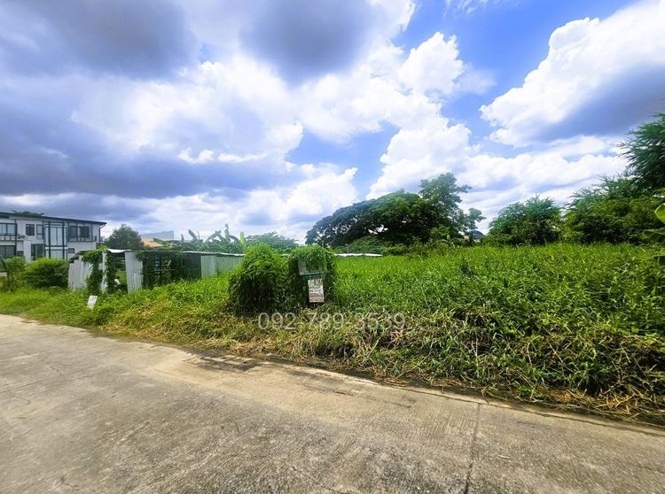ขายที่ดิน รามอินทรา ซอย5 แยก13 ขนาด 201 ตร.วา รูปที่ 3