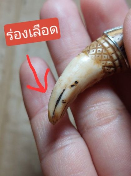 เครื่องราง. ของขลัง. รูปที่ 6