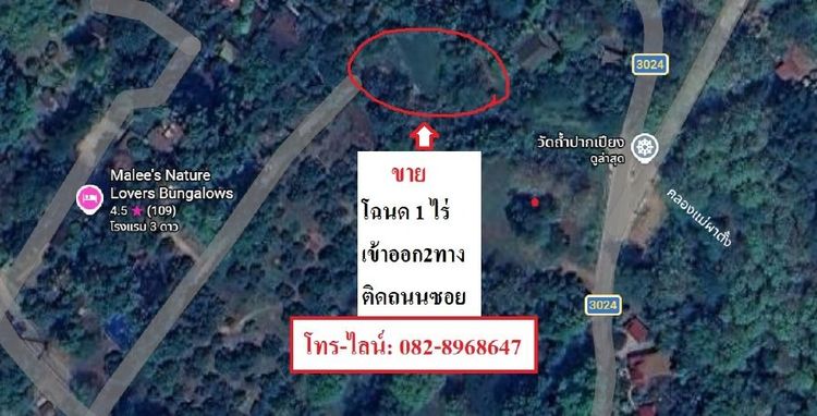 ขายที่ดินเหมาะทำบ้านพักรีสอร์ท ใกล้วัดถ้ำผาปล่อง ถ้ำปากเปียง ถ้ำเชียงดาว เชียงใหม่  รูปที่ 4
