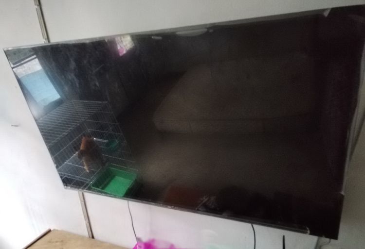 Smart TV จอLed รุ่นใหม่ TCL 55 นิ้ว เสียไม่เคยซ่อม ภาพขึ้นTCLแล้วภาพหายไป ขายเป็นอะหลั่ย ขาย 1000 บาท งดต่อ