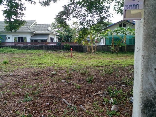 ขายที่ดินเปล่าถมแล้ว 74 ตร.ว. หมู่บ้านคันทรีวิว ลำปาง  รูปที่ 2