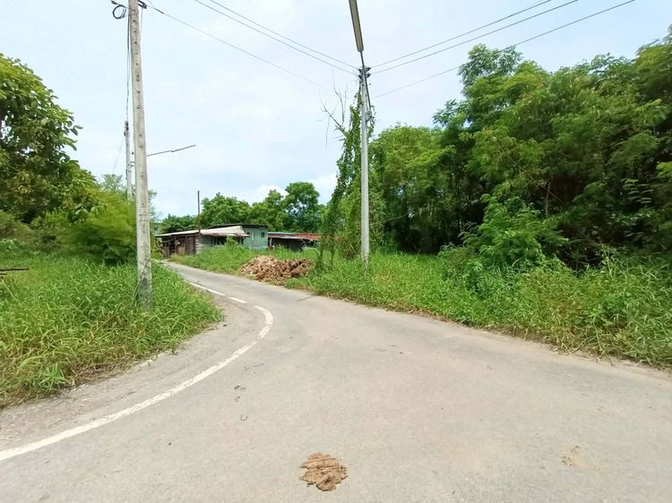 ที่ดินปทุมธานี รูปที่ 2