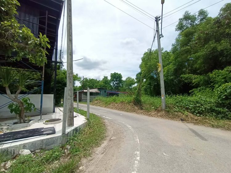 ที่ดินปทุมธานี