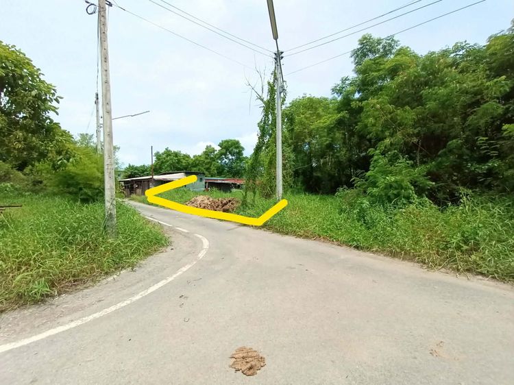 ที่ดินปทุมธานี รูปที่ 4