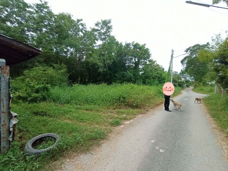 ที่ดินปทุมธานี รูปที่ 3