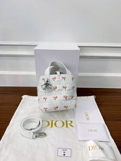 Like New Nano Dior Toujours Y26