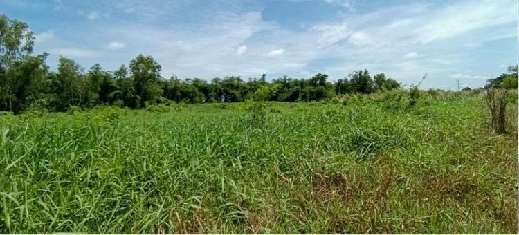 ขายที่ดินตำบลคูขวาง อำเภอลาดหลุมแก้ว ปทุมธานี   เนื้อที่ 4 ไร่ สามารถทำโรงงาน รูปที่ 2