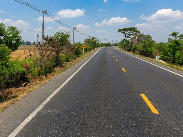 ขายที่ดินโฉนด 17-1-84 ไร่ ติดถนนสาย SP.3461 มีคลองชลประทาน ตำบลดอนคา อำเภออู่ทอง จังหวัดสุพรรณบุรี รูปที่ 4