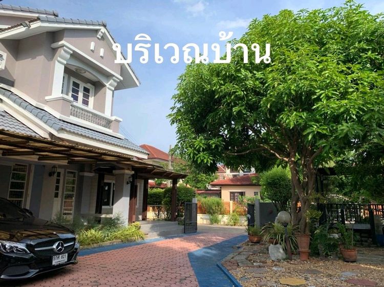 บ้านเดี่ยว