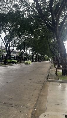 ไม่มี ขายบ้านเดี่ยว พฤกษ์ลดา วงแหวน-หทัยราษฎร์ ทำเลถนนเมนในโครงการ รูปที่ 2