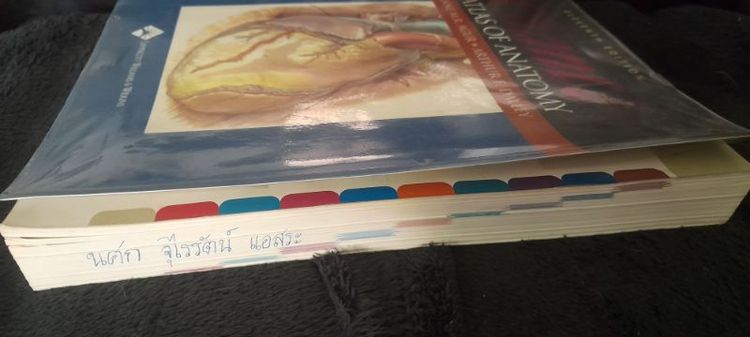 หนังสือเรียนAnatomy รูปที่ 3