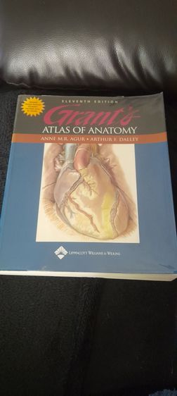 หนังสือเรียนAnatomy