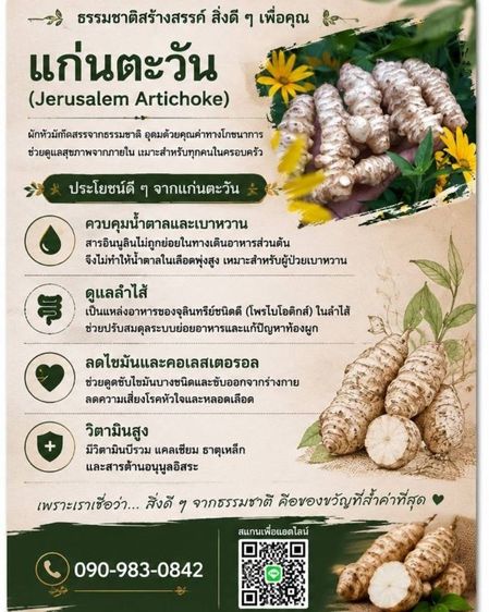 แก่นตะวันสด1กิโลกรัม รูปที่ 2