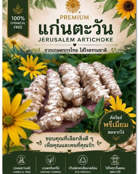 แก่นตะวันสด1กิโลกรัม