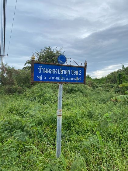 ขายที่ดิน5ไร่ จันทบุรี เเหลมสิงห์ รูปที่ 4