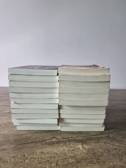 หนังสือนิยายจีนเรื่องย้อนเวลาขึ้นเป็นอ๋อง 2 ภาค รูปที่ 3