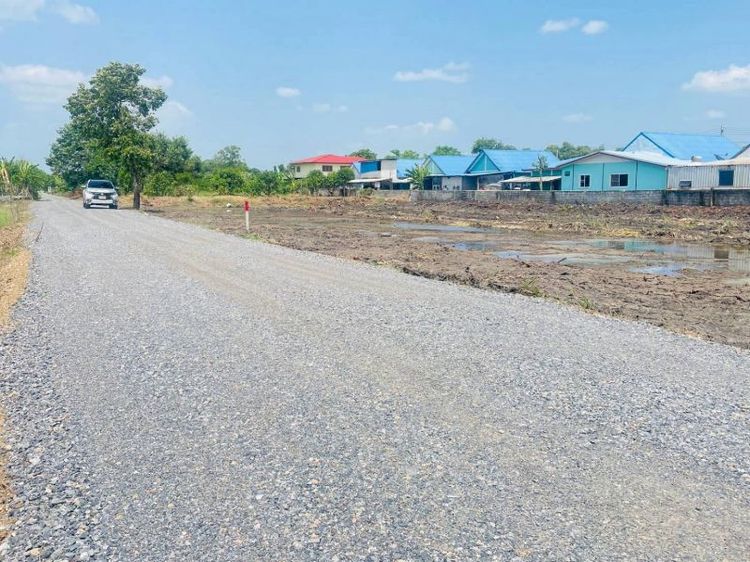 ไม่ใช่ #ที่ดินเงินผ่อน #ที่ดินคลอง4 คลองหลวง ปทุมธานี  100 ตร.ว 9.9 แสนบาท (ใกล้ซอยคลองสี่ตะวันออก73)เหมาะทำบ้านสวนยามเกษียณ โกดังสินค้า โรงงานขนาดเล็ก กิจการต่างๆ ซื้อเกง รูปที่ 3