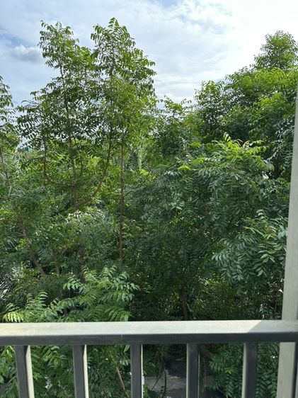Property Perfect ตกแต่งครบ 🏢 ขายคอนโด ไอคอนโด เสรีไทย กรีนสเปซ (iCondo Serithai Green Space) รูปที่ 2