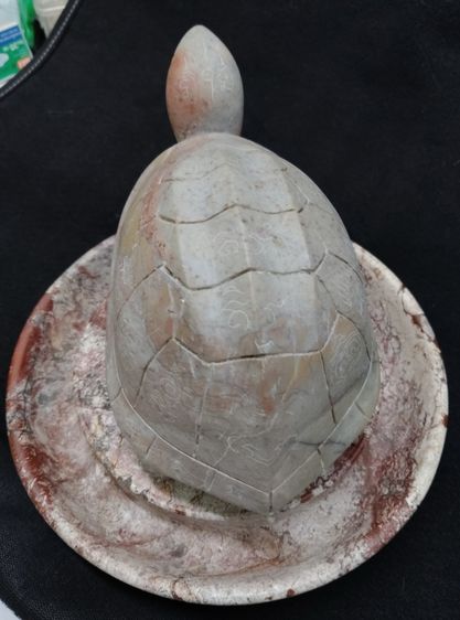 75476-เต่าหินแกะพร้อมถาด  ตัวใหญ่ ขนาดเต่า 7.5x4 สูง'3.5 นิ้ว ขนาดถาด 7.5 สูง 2 นิ้ว บูชาหน้าห้างร้าน ตั้งโต๊ะทำงาน เป็นศิริมงคล เรียกโชคลาภ รูปที่ 5