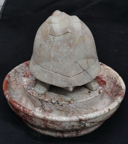 75476-เต่าหินแกะพร้อมถาด  ตัวใหญ่ ขนาดเต่า 7.5x4 สูง'3.5 นิ้ว ขนาดถาด 7.5 สูง 2 นิ้ว บูชาหน้าห้างร้าน ตั้งโต๊ะทำงาน เป็นศิริมงคล เรียกโชคลาภ รูปที่ 10