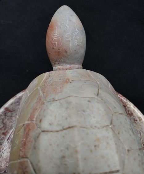 75476-เต่าหินแกะพร้อมถาด  ตัวใหญ่ ขนาดเต่า 7.5x4 สูง'3.5 นิ้ว ขนาดถาด 7.5 สูง 2 นิ้ว บูชาหน้าห้างร้าน ตั้งโต๊ะทำงาน เป็นศิริมงคล เรียกโชคลาภ รูปที่ 13