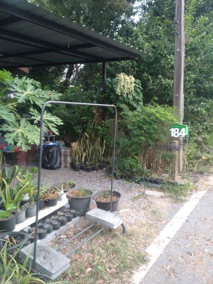 อื่นๆ มีบางส่วน 2010 บ้านชั้นเดียวราคาถูก รูปที่ 2