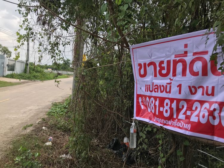 ขายที่ดิน รูปที่ 3