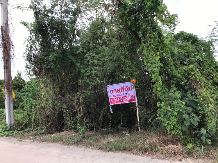 ขายที่ดิน