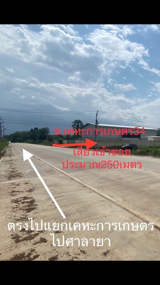 ขายที่ดิน รูปที่ 2