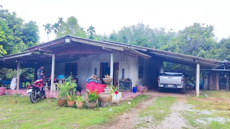 สวนทุเรียนพร้อมบ้าน