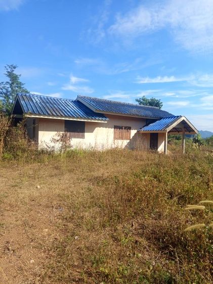 บ้าน,สวนยางพร้อมให้ผลผลิต