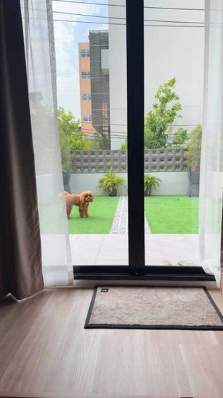 ตกแต่งครบ Newly Renovated Townhouse/Home office/Cafe for Rent – Ekamai 22 / Pridi 41, pet friendly ทาวน์เฮาส์/โฮมออฟฟิศ/คาเฟ่ รีโนเวทใหม่ให้เช่า เอกมัย 22 รูปที่ 4