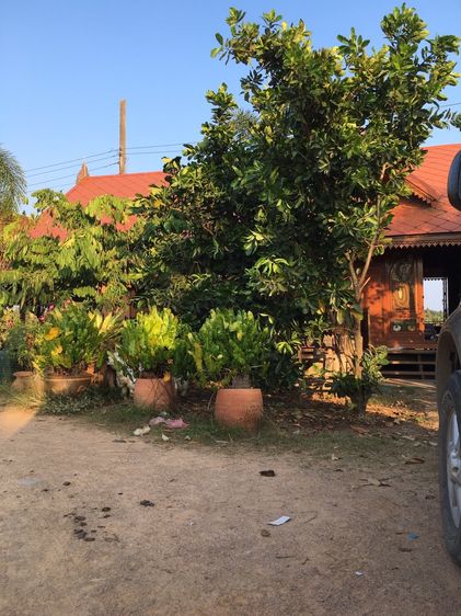 บ้านเรือนไทยพร้อมที่ดิน อ.ทับสะแก จ.ประจวบคีรีขันธ์ รูปที่ 2
