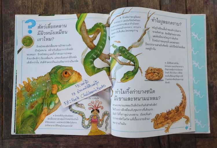 ชุดหนังสือ เด็กๆรู้ไหมทำไม ( wonder why? ) มือสองลิขสิทธิ์โดย บริษัท Grolier 24 เล่มครบชุด รูปที่ 5
