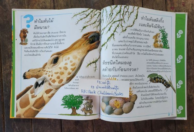 ชุดหนังสือ เด็กๆรู้ไหมทำไม ( wonder why? ) มือสองลิขสิทธิ์โดย บริษัท Grolier 24 เล่มครบชุด รูปที่ 3