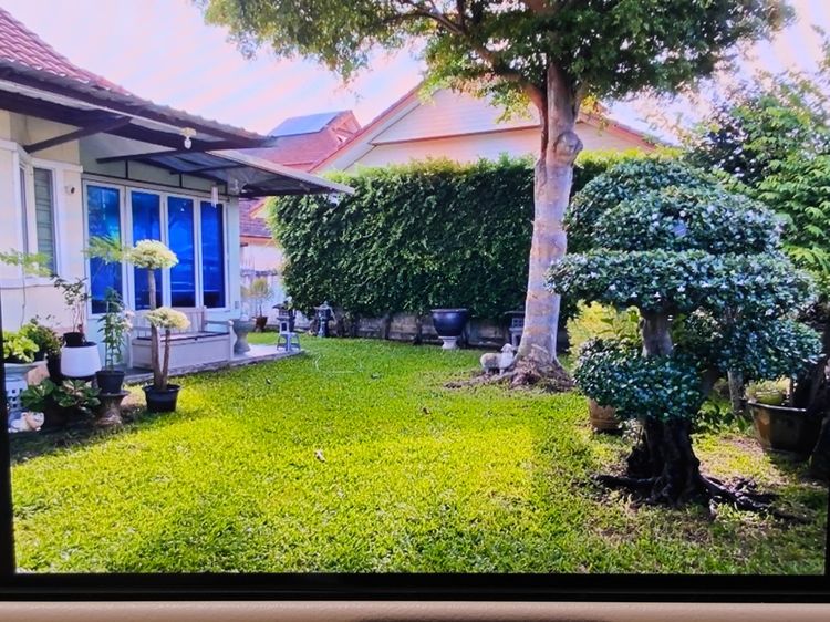ไม่มี ขายบ้านใจกลางเมืองระยอง บรรยากาศร่มรื่น ใกล้สิ่งอำนวยความสะดวก ใหญ่กว้างมากครัวครบชุด มีแอร์ เครื่องทำน้ำอุ่นพร้อม รูปที่ 2