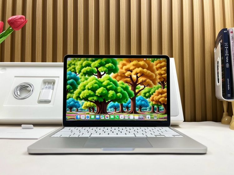 MacBook Neo 13-inch A18 Pro Ram8GB SSD256GB Silver Apple Care 24 April 2027