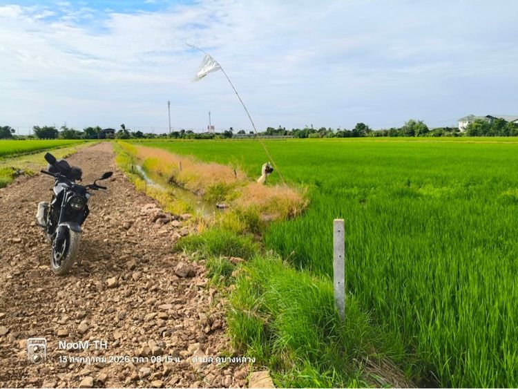 ที่ดิน2ไร่ พื้นที่สีแดง ลาดหลุมแก้ว ปทุมธานี