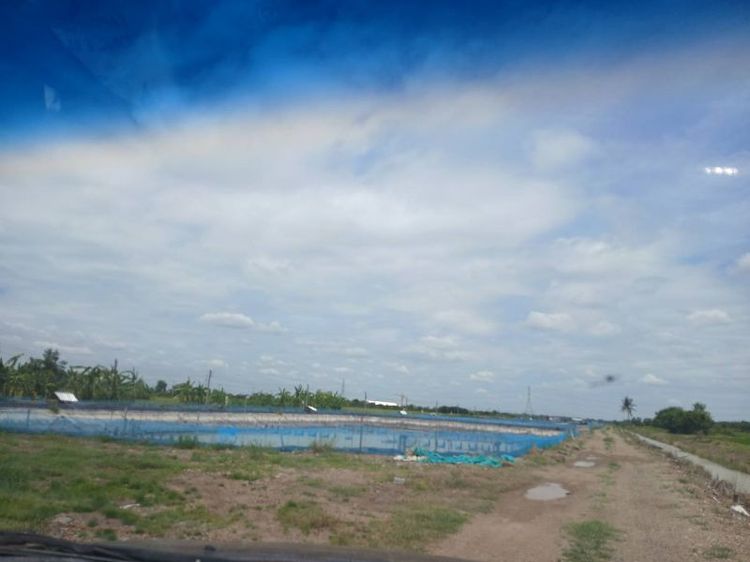 ขายที่ดินทำเลดี 49 ไร่ ลำลูกกา ปทุมธานี รูปที่ 4